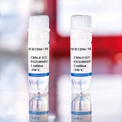 Human Cord Blood CD56+ NK Cells