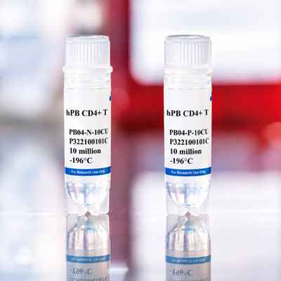 Human Peripheral Blood CD4+ T Cells