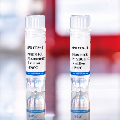 Human Peripheral Blood CD8+ T Cells