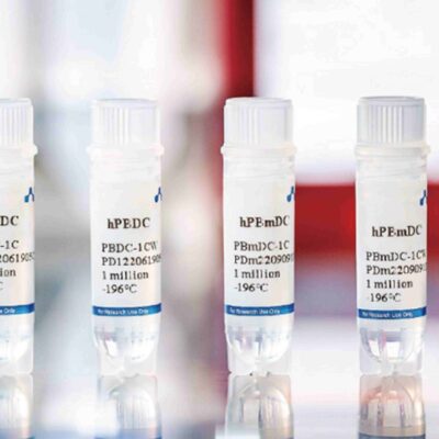 Human Peripheral Blood Dendritic Cells (DCs)