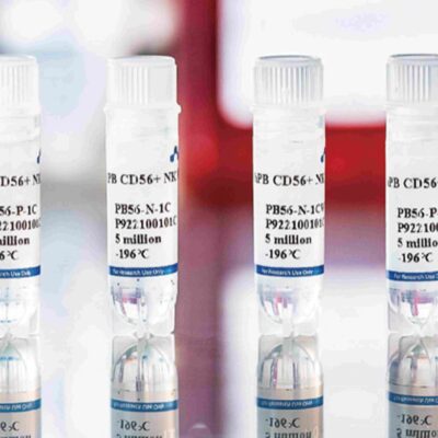 Human Peripheral Blood CD56+ NK Cells