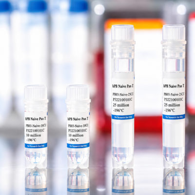 Human Peripheral Blood Naive Pan T Cells