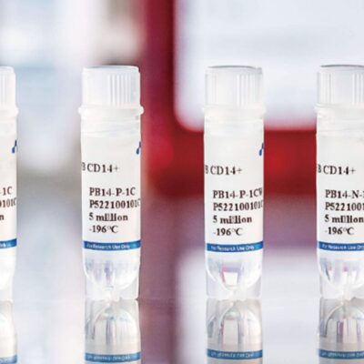 Human Peripheral Blood CD14+ Monocytes