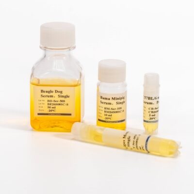 Canine Cerebrospinal Fluid