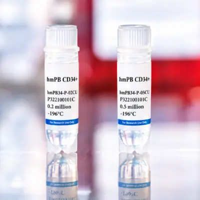 Human Mobilized Peripheral Blood CD34+ Cells