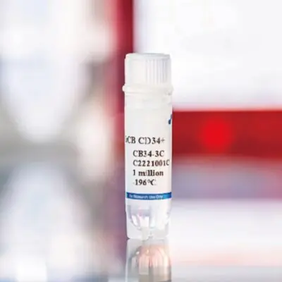 Human Cord Blood CD34+ Cells