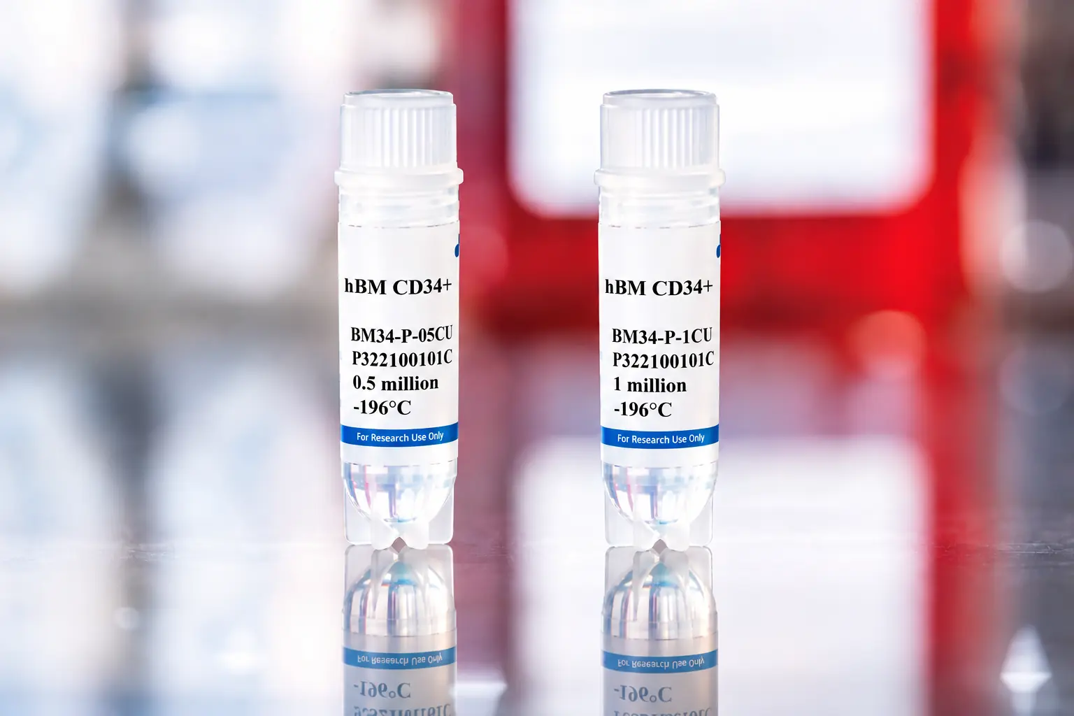 Human Bone Marrow CD34+ Cells