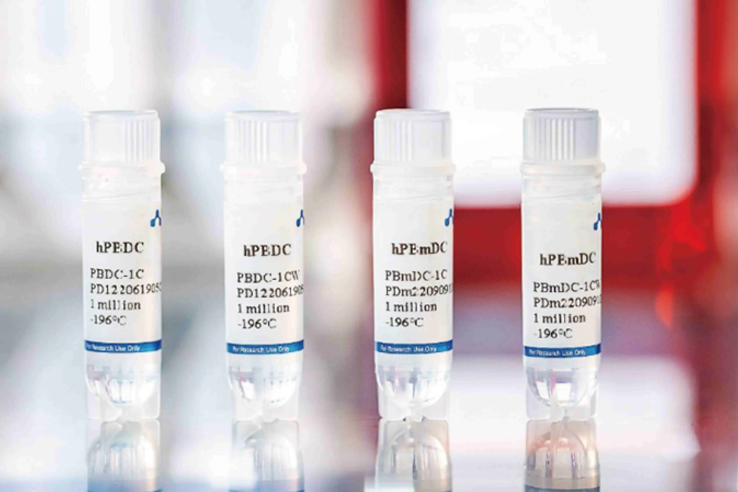 Human Peripheral Blood Dendritic Cells (DCs)