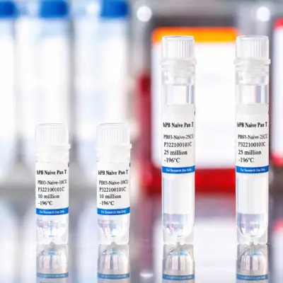 Human Peripheral Blood Naive Pan T Cells