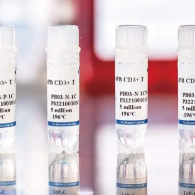 Human Peripheral Blood CD3+ T Cells