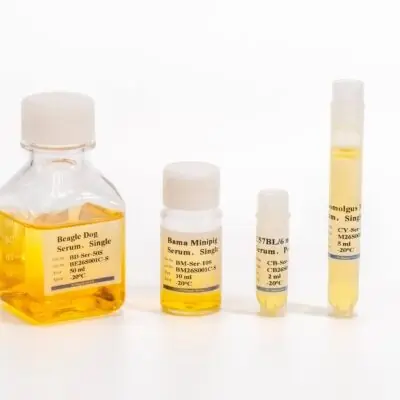 Rat Serum